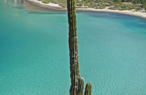 Playa-Ensenadita-Blanca,-Baja
