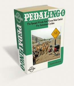 Pedalingo Ebook Image
